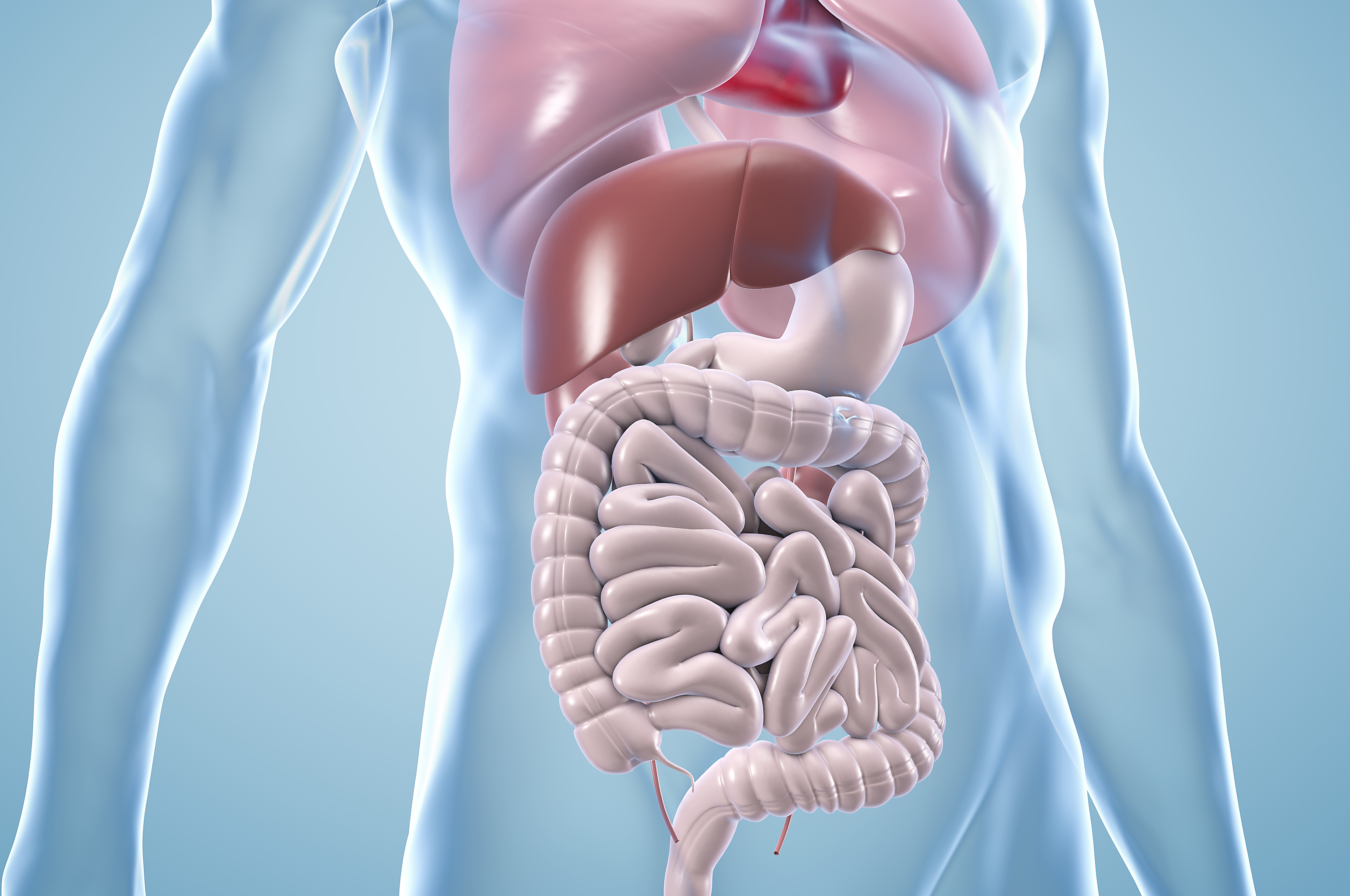 Gesundheit Deines Darms