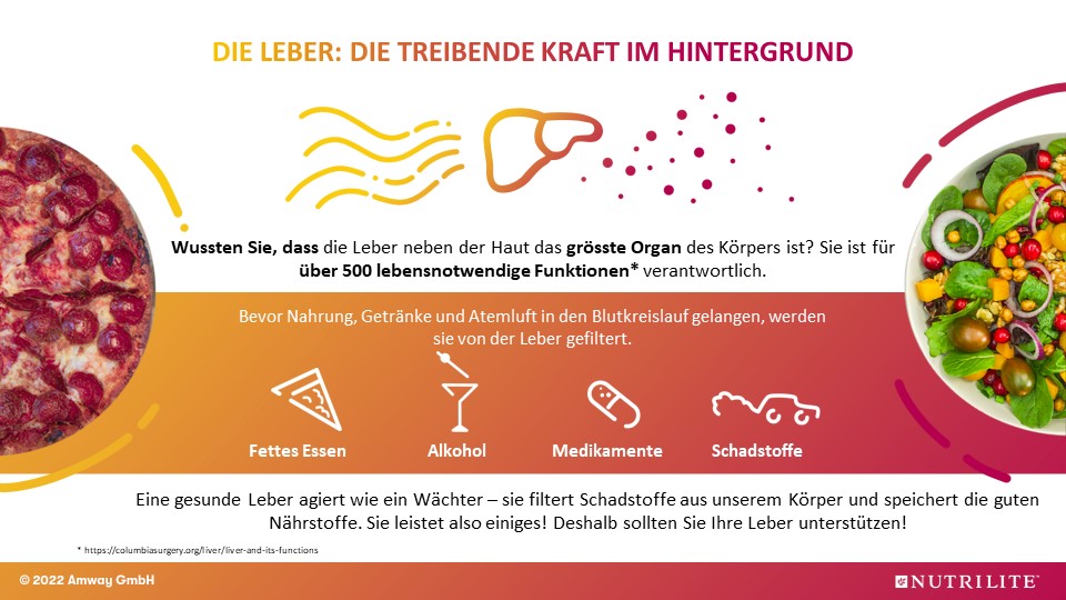 Produktevorstellung-Mariendistel.jpg