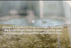 Essentielle Nährstoffe